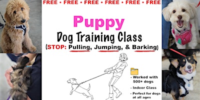 Puppy Training (FREE Dog Training Class) primary image