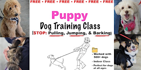 Puppy Training (FREE Dog Training Class)