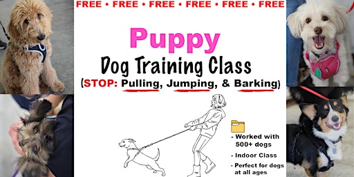 Imagem principal do evento Puppy Training (FREE Dog Training Class)