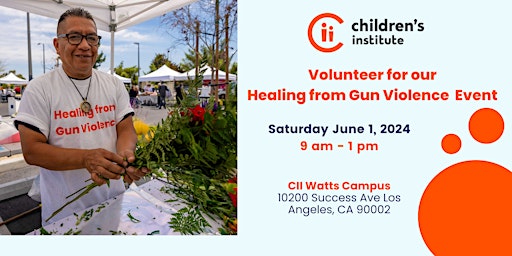 Volunteer for our Healing from Gun Violence Event