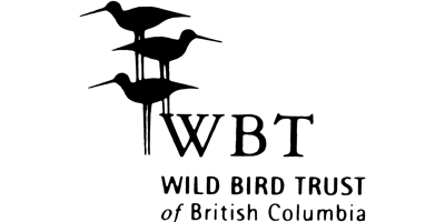 Hauptbild für Decolonizing Ornithology Walk