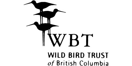 Decolonizing Ornithology Walk