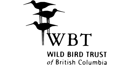 Decolonizing Ornithology Walk