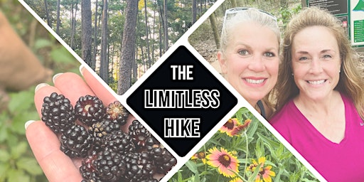 Imagem principal de The Limitless Hike- May