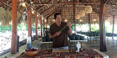 Image principale de (Zoom) Lāʻau Lapaʻau Workshop