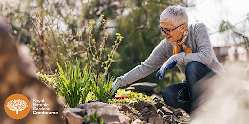 Imagen principal de Free webinar: balancing wildlife and pests in your garden