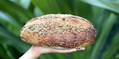 Primaire afbeelding van Craft Your Perfect Sourdough with Yoga & Aromatherapy