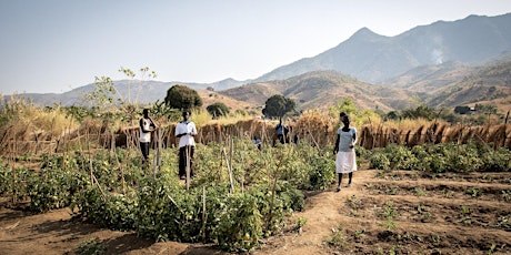 An Evening With Temwa Malawi 2019 primary image