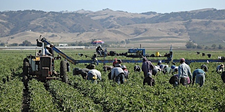 Farmworker Reality Tour / May 12, 2024