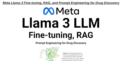 Hauptbild für Meta Llama 3 Fine-tuning, RAG, and Prompt Engineering for Drug Discovery