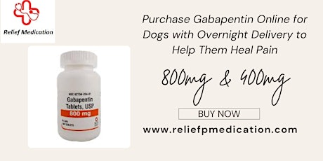 Order Gabapentin for dogs : Buy Neurontin overnight delivery