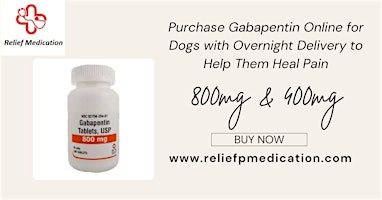 Purchase Gabapentin Online for Dogs to Aid with Pain Relief primary image