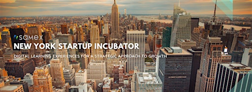 Collection image for New York Startup Virtual Incubator