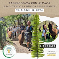 Primaire afbeelding van Passeggiata con Alpaca