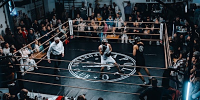 APOLLO BOXING NIGHT primary image