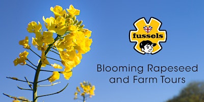 Imagem principal do evento Fussels Blooming Rapeseed and Farm Tours