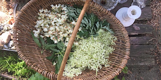 Immagine principale di Spring Foraging: Edible Weeds & Forest Herbs 