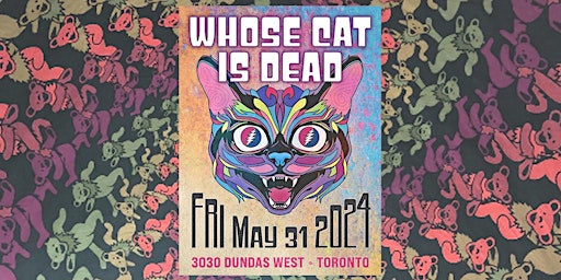 Immagine principale di Whose Cat is Dead w/ Caution Jam (acoustic duo) 