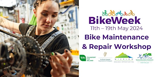 Imagen principal de Bike Maintenance & Repair Workshop - Bike Week 2024 - Greystones