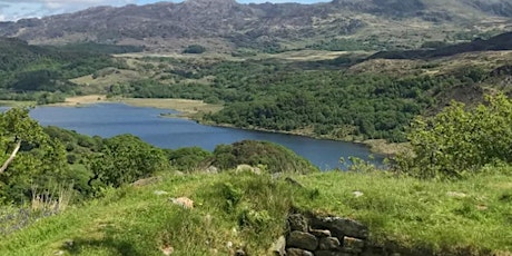 Taith Tywys Dinas Emrys / Dinas Emrys Guided Walk