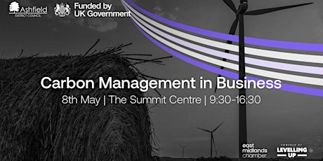 Carbon Management in Business