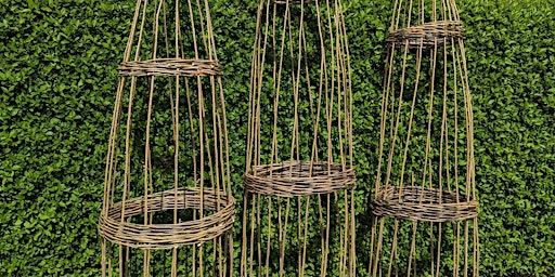 Willow Obelisk/Plant Support  primärbild