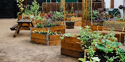Imagem principal do evento Garden 101 - Grow Your Own Veg