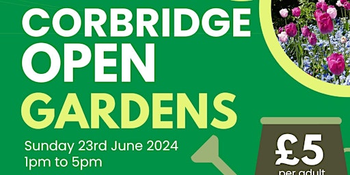 Hauptbild für Corbridge Open Gardens 2024
