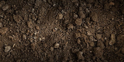 Hauptbild für Six Inches of Soil Screening