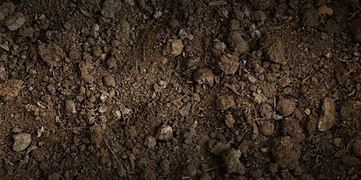 Primaire afbeelding van Six Inches of Soil Screening