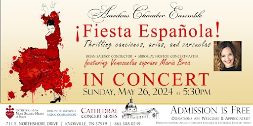 Imagen principal de Cathedral Concert: Amadeus Chamber Ensemble ¡Fiesta Española!