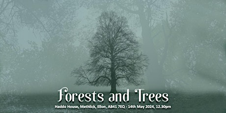 Aberdeenshire Schools Concert 2023-24: Forests and Trees