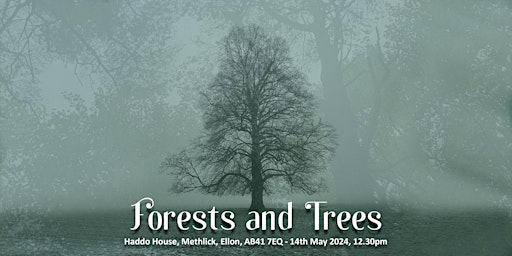 Primaire afbeelding van Aberdeenshire Schools Concert 2023-24: Forests and Trees