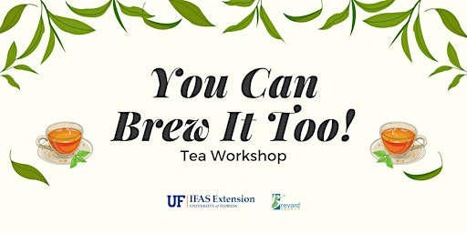 Primaire afbeelding van You Can Brew It Too! - Tea Workshop