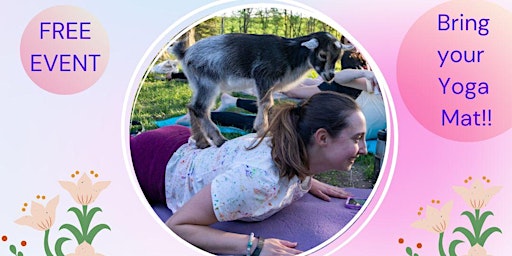 Baby Pig & Goat Yoga  primärbild