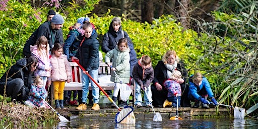 Friday Outdoor Learning Session - Pond Dipping!  primärbild