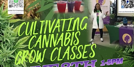 Imagem principal do evento Cultivating Cannabis Grow Class