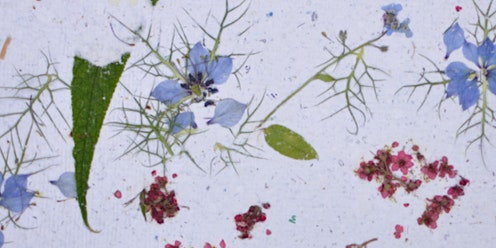 Imagem principal do evento Fabrique ton papier recyclé avec des fleurs incrustées