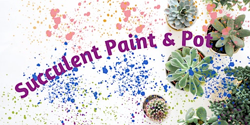 Succulent Pot & Paint  primärbild