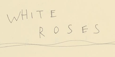 Immagine principale di White Roses 