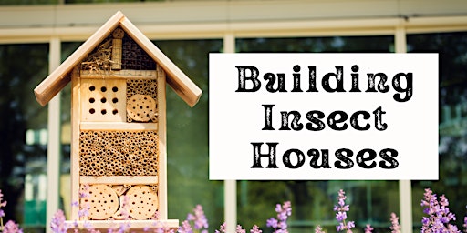 Primaire afbeelding van Building Insect Houses