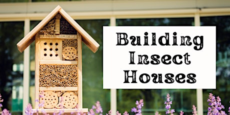 Building Insect Houses
