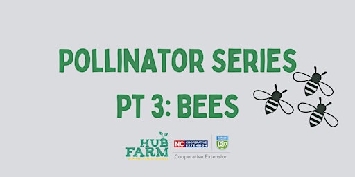 Imagem principal do evento Pollinator Series Part 3: Bees