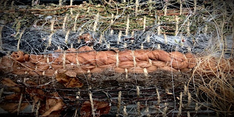 Primaire afbeelding van Artists in Residence - Natural Loom Weaving Workshop