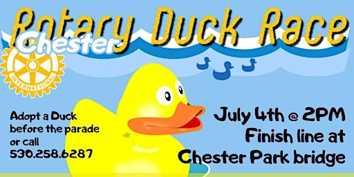 Immagine principale di Chester Rotary 4th of July Duck Race 