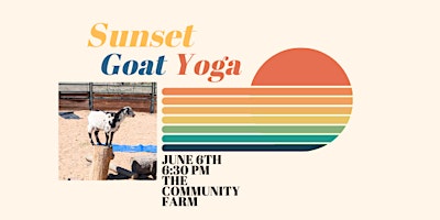 Imagem principal do evento Sunset Goat Yoga