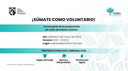 Imagen principal de Voluntariado Index Nuevo León | San Pedro Parques