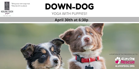 Down-Dog, Yoga with Puppies