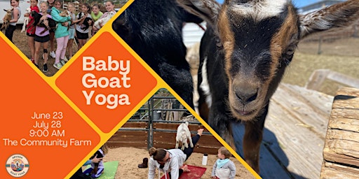 Baby Goat Yoga  primärbild