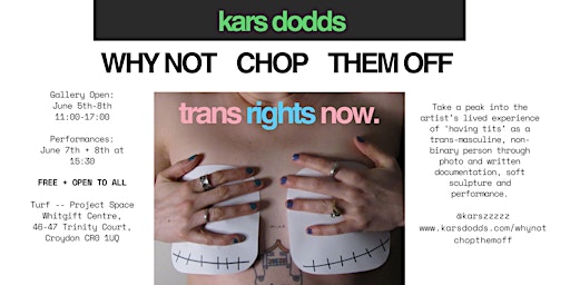 Imagem principal de WHY  NOT CHOP THEM OFF: an exhibition on 'having trans-masc tits'